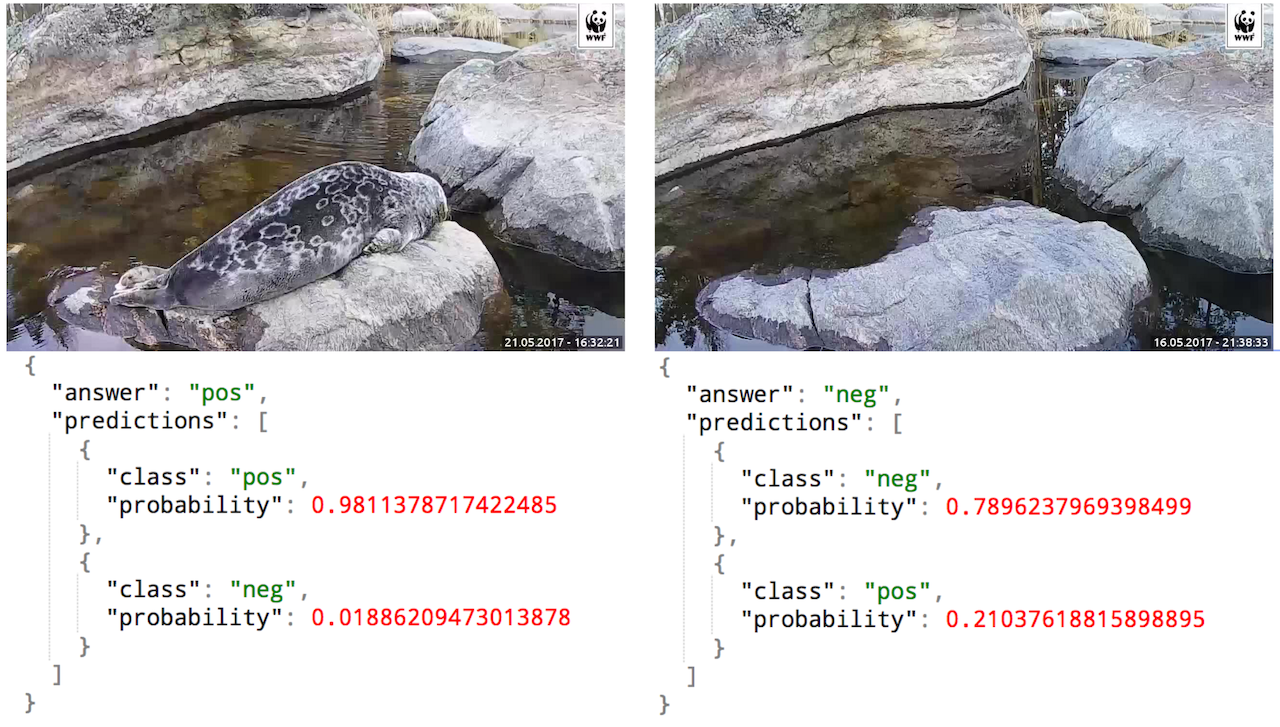 How to catch the Saimaa ringed seal? - Story about applying modern deep learning to computer vision